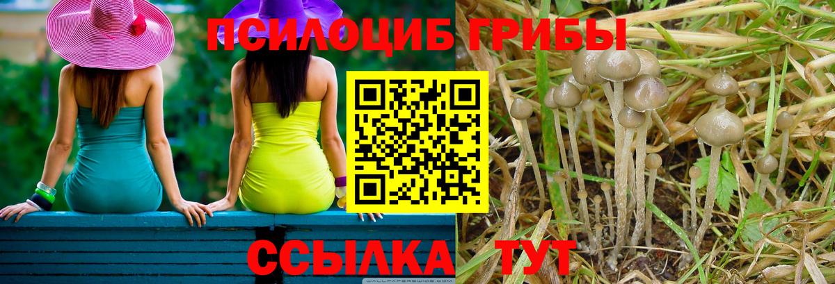 Псилоцибиновые грибы MAGIC MUSHROOMS  Вход с VPN  как найти   Отрадное 