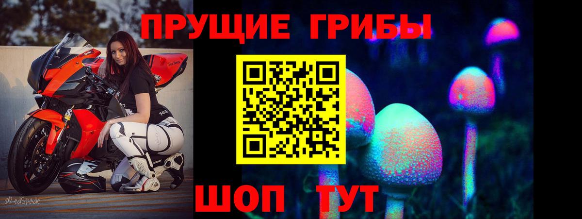 Галлюциногенные грибы Cubensis Отрадное